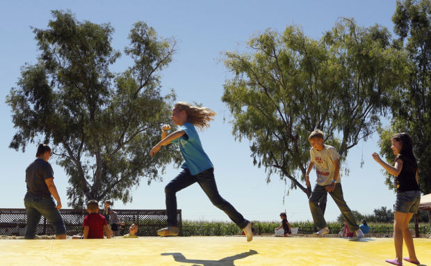 Pumpkin Patch and Farm Festival